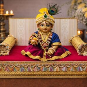 De Royalsthan Soft Luxury Comfortable Singhasan for Ladoo Gopal | Thakur Ji | Kanha | Laddu Gopal Bister | Idol |Pooja Mandir (2-3 Number Gopal JI, King Style Singhasan)